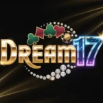 Dream17 logo