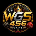 WGS456 Game logo